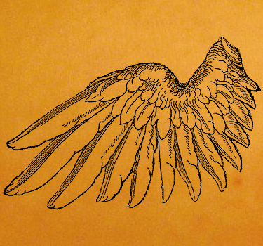 full back tattoo wings. Angel Wings Tattoo Designs